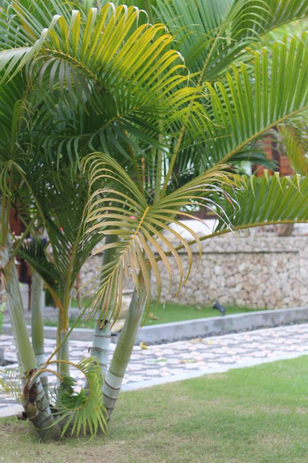 Gepah Garden Cottage Nusa Penida Luaran gambar